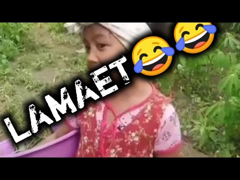 peri_sondo-laos-deng-laos