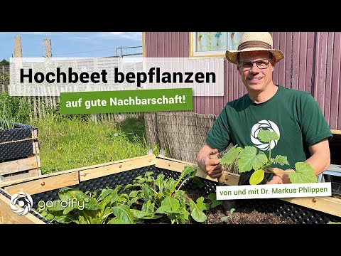 , title : 'Hochbeet bepflanzen – auf gute Nachbarschaft! Mischkultur Salat Möhren Zwiebeln | gardify Tipps'