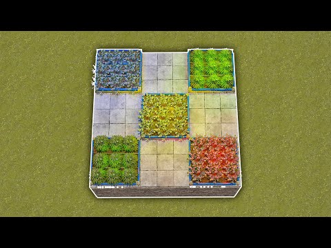 'The Perfect Farm Expansion'