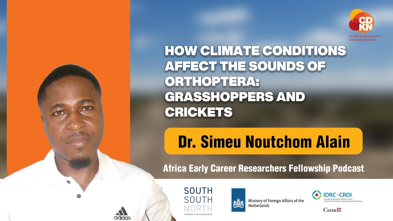 HOW CLIMATE CONDITIONS AFFECT THE SOUNDS OF GRASSHOPPERS AND CRICKETS ft. Dr. Simeu Noutchom Alain