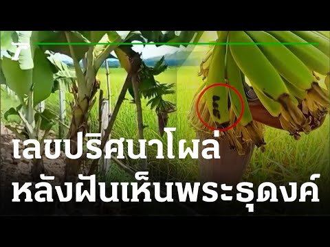 หวย เจ้าพายุ