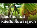 หวย เจ้าพายุ