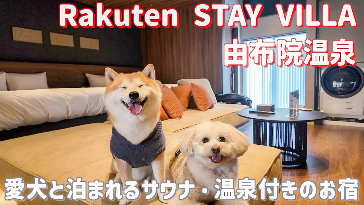 【楽天ステイヴィラ】サウナも温泉も楽しめて、愛犬と泊まれるお宿が由布院にOPENしました♨️