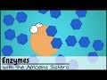 Enzymes (Updated)