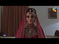 Badshah Begum - Last Episode 31 - Best Moment 05 - #zaranoorabbas #farhansaeed - HUM TV