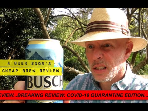 Busch Beer Review by A Beer Snob's Cheap Brew Review