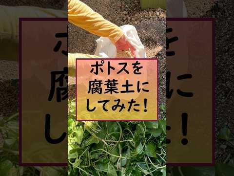 堆肥化の平均期間はどのくらいですか?分解をスピードアップするための方法、要因、ヒントと秘訣  庭園