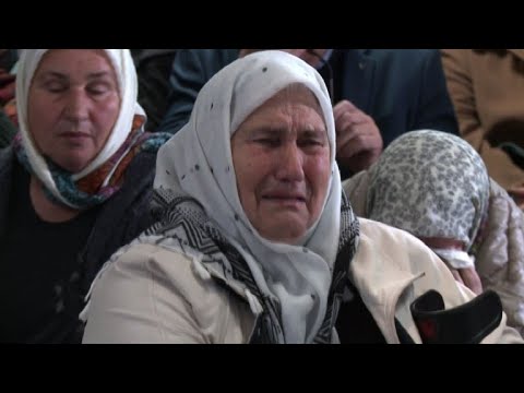 Srebrenica survivors applaud Karadzic life sentence