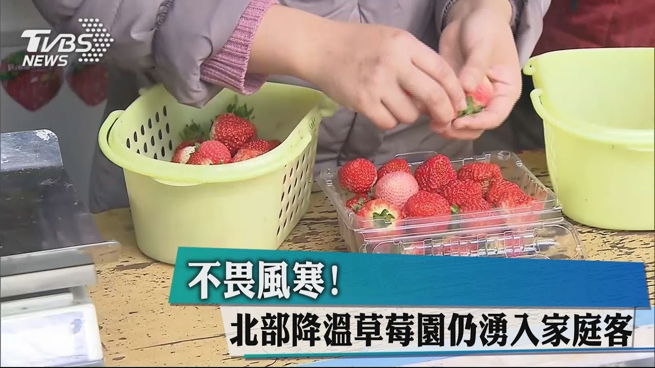 初二飄雨氣溫略降 下週又有冷氣團