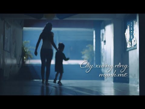 download lagu mp3 mp4 Cây Xương Rồng, download lagu Cây Xương Rồng gratis, unduh video klip Download Cây Xương Rồng Mp3 dan Mp4 Youtube Gratis