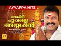 അമ്പിളി പൂവല്ലെ അയ്യപ്പന്‍ Kalabhavan Mani Ambilipoo