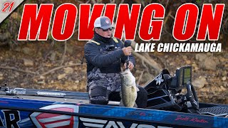 A CHAMELEON's daily routine - Fishing with Luiza