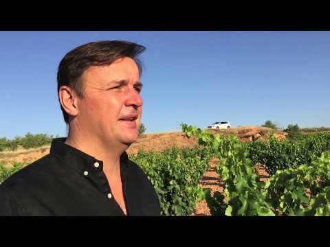 Norrel Robertson, El Escocés Volante, para Club Vignerons | BODEBOCA