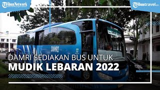 DAMRI Kerahkan 460 Armada Bus untuk Mudik Lebaran 2022, Begini Cara Memesan Tiketnya