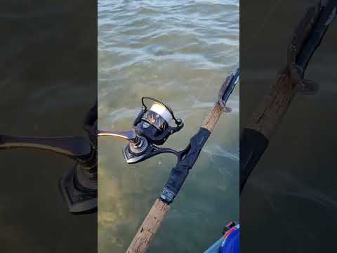 Penn Authority water test