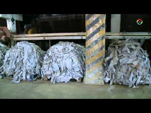 Acumar clausuro 2 curtiembres en Lanus.