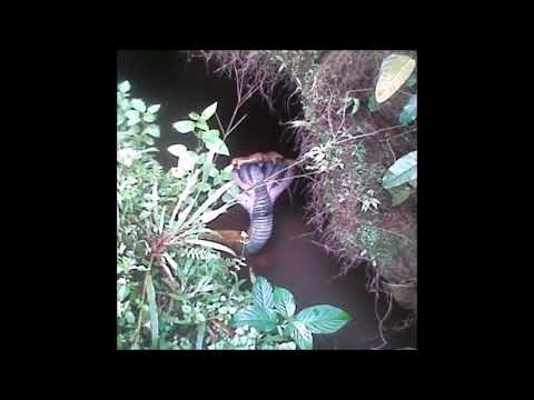 57. epsyle2 - CROWN [14.08.2017]