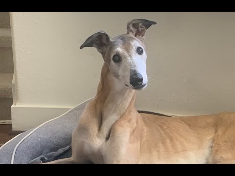 I ALMOST LOST MY BEST FRIEND!!