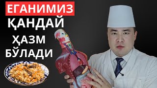БУ НЕ МЎЖИЗА!!! ЕГАНИНГИЗ ҚАНДАЙ ҲАЗМ БЎЛИШИНИ КЎРИНГ 