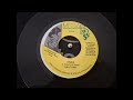 Half Pint  - Fever + Version 7'