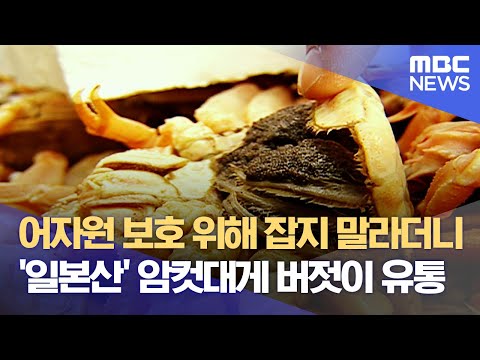 일본은 솔직히 쓰나미 쳐맞아도 싸다