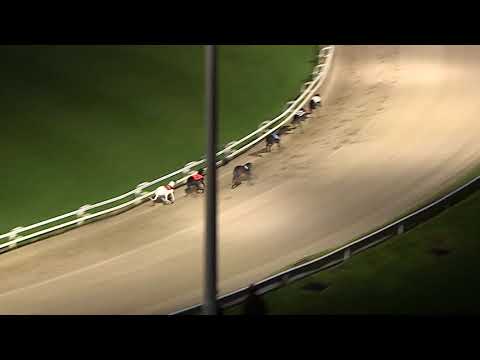 2017 SERVOCA BRITISH BRED DERBY - 1ST SEMI - T3 KING TURBO
