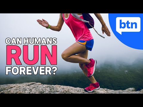 What's the Longest Distance a Human Can Run? The Science of Running