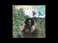 Peter Tosh   What'cha Gonna Do on HQ Vinyl with Lyrics in Description