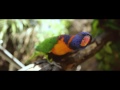 Dj Snake Australia New Zealand 2013 Tour AfterMovie