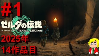 【完全初見プレイ】翔ける、創る、紡ぐ。果てなき冒険は、大空へ広がる。#1【ゼルダの伝説 ティアーズ オブ ザ キングダム】