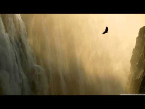 Tillmann & Ries - Bassfly (Michael Woods Remix) [Liquid Asset] 2000