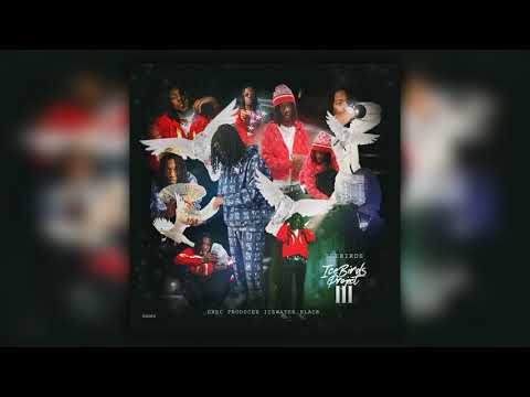 IceBirds - IceBirds Project III (Prod. IceWater Black) [Full Tape, 2020]