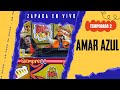 AMAR AZUL / Zapada EN VIVO en UN POCO DE RUIDO !