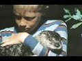 Walt Disney S An Otter In The Family Season 11 Ep 19