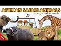 African Safari Animals Song Wild Animals Names And Sounds African Safari Animals Vocabulary