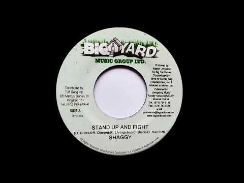SHAGGY - Stand Up And Fight (2003) Big Yard