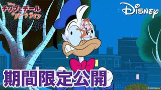 【期間限定無料公開】チップとデールのパークライフ | 痛みなくして木の実なし / 夢の農場ライフ / 弟子入りしたい