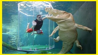 Os ZOOLÓGICOS mais DIFERENTES do mundo