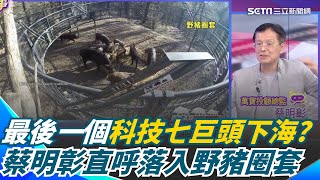 美科技七巨頭全都下海? 與OpenAI綁一起 進入AI的永動機 蔡明彰曝:只差