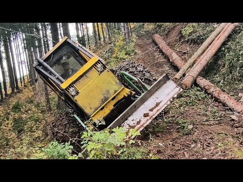 Logging skidder LKT 81t