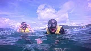 한국 친구 10명으로 구성된 가족이 나트랑 혼문 해변에서 수영을 즐겼습니다.