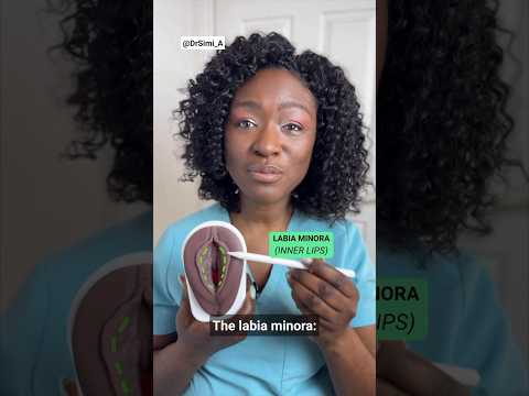 Do You Know Your VULVA?