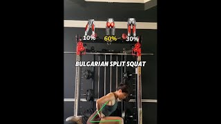 Bulgarian split squat variations