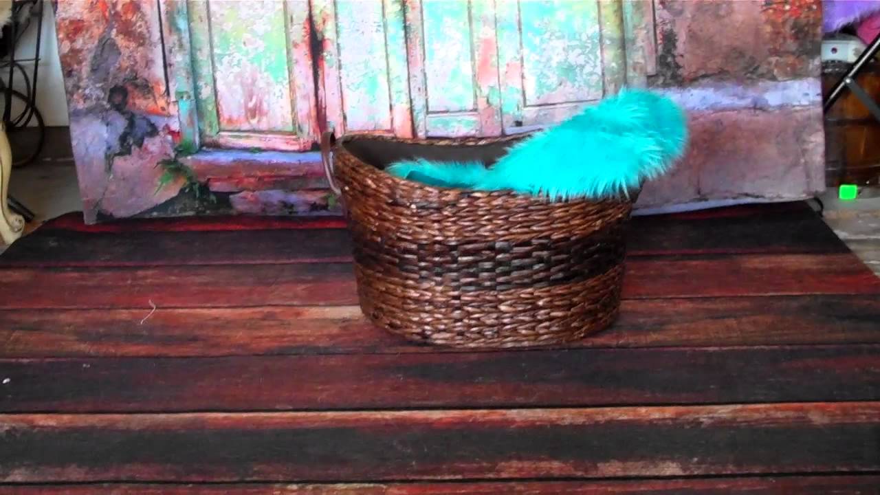 Baby Dream Backdrops