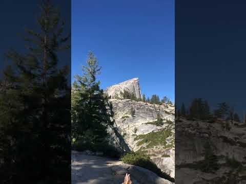 Look at that MOOn🐮😂