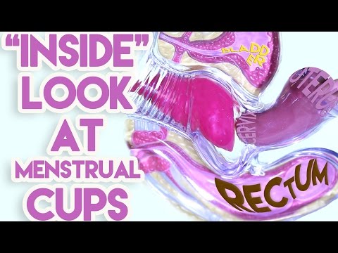 Inside" Look at Menstrual Cups