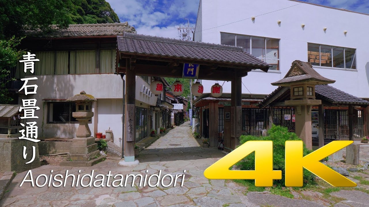 Aoishidatamidori