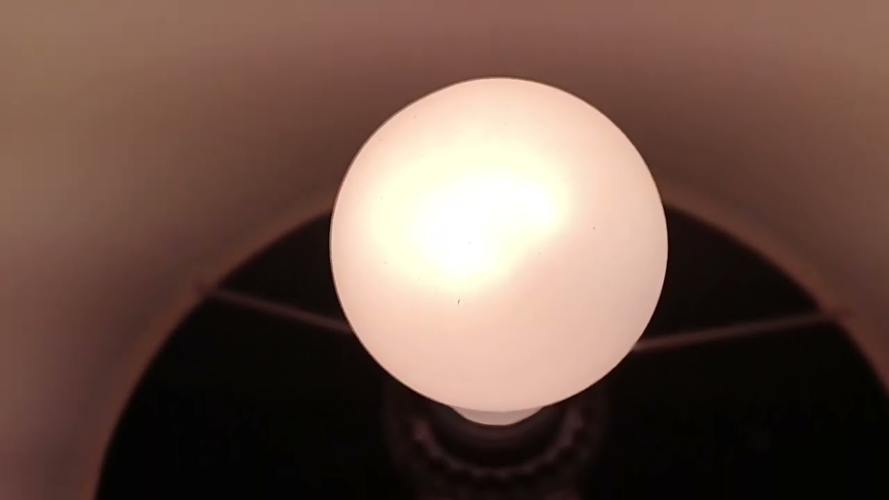 You Can Still Buy 60W Incandescent Bulbs! Watch to See How I Did!