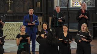 Prayer of Saint Francis by Carmine Lappano