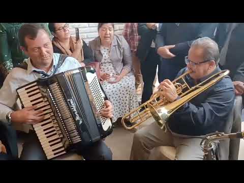 Tocata No Paraguay Pavão Bonito